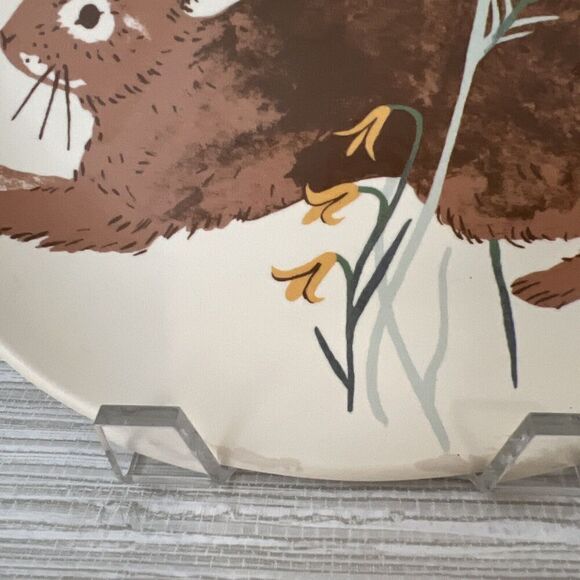 Target Threshold Bunny Rabbit Flowers Melamine Salad Plate Brown 8 5/8" 2021 - Picture 4 of 6